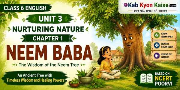 Neem Baba Class 6 English Unit 3 solutions and summary