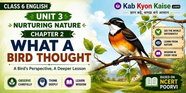 What a Bird Thought poem Class 6 English Unit 3 summary and word meanings