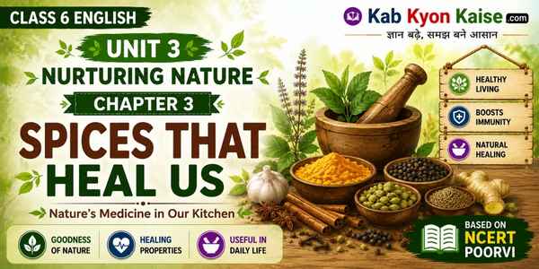 Spices that Heal Us Class 6 English Unit 3 question answer and summary